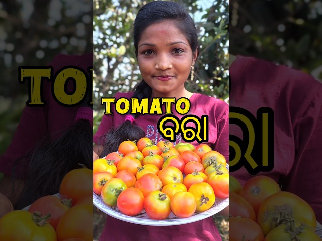 ଟମାଟୋ ବରା || Tomato Bara odia recipe || Tomato Vada #treding #recipe #tomatobara #cooking #odia