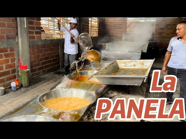 COLOMBIA es el segundo mayor productor de PANELA en el mundo (Documental)