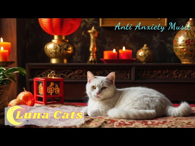 Relaxing Cat Music 🐈 Anxiety relief music for cats | Piano cat music