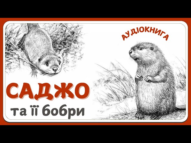 САДЖО ТА ЇЇ БОБРИ (Сіра Сова) - дитячий пригодницький роман | Слухати аудіокнигу українською мовою