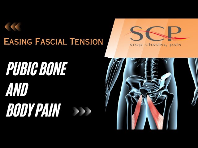 Pubic Bone And Body Pain