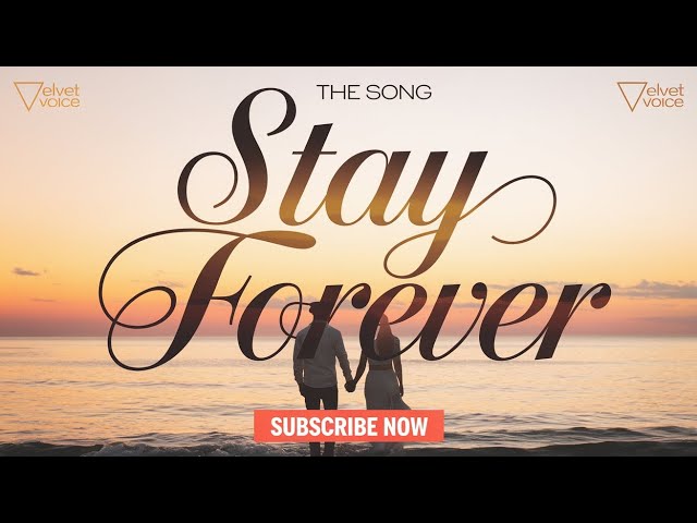 Love Song 2025 - Stay Forever | Velvet Voice