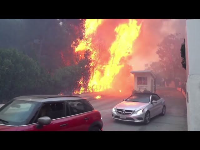 Los Angeles Wild Fire Live Stream : Water Drops by Helicopters and Aeroplanes #wildfire #losangeles