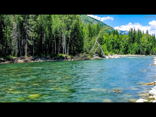 Tranquil River Flowing Through Sonic Nature |10 Hours of Running Water River Sounds for Sleep/ Relax