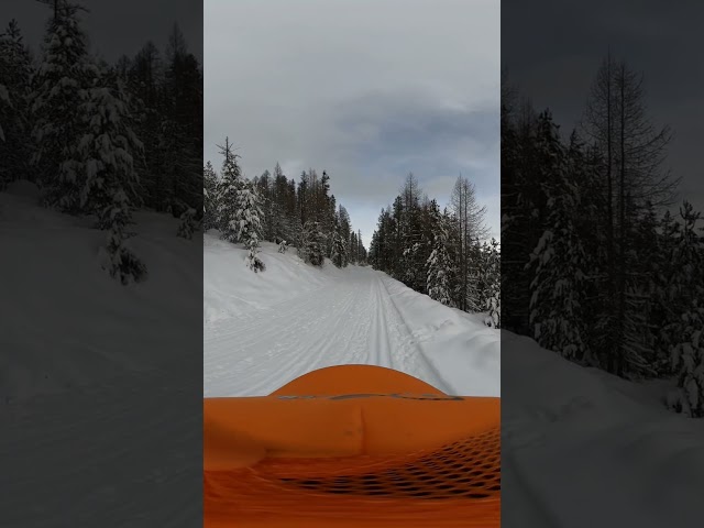 Skiing on Blacktail Mountain Nordic Ski Trails, near Lakeside, Montana. #mountains #montana #snow