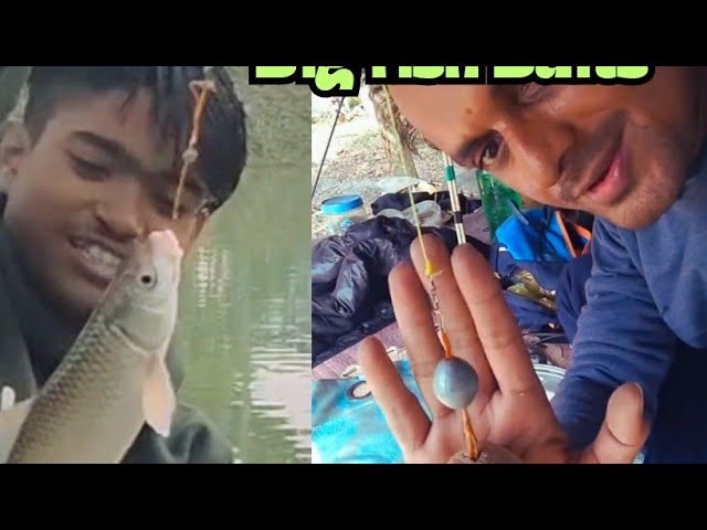 Mastering Big Fish Bait Techniques | Rohu & Mrigal Fishing Adventure 🎣🐟