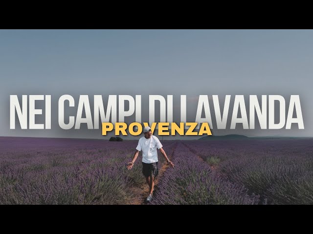 Persi nei campi di lavanda I Provenza on the road (Ep.1)