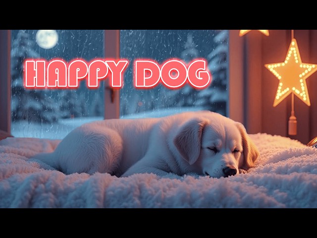 🐶 Sounds that heal your dog's soul - relax your dog to help him sleep🍄HAPPY DOG relaxing