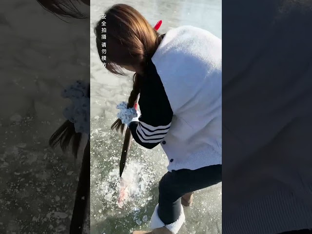 Le poisson de glace le plus cher de Chine #shorts #ShortsViral #Viral