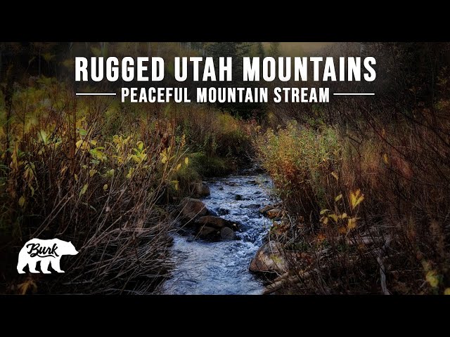 Rugged Utah Mountains (4K) Peaceful Mountain Stream (White Noise) Stream Flowing (Nature) Rest