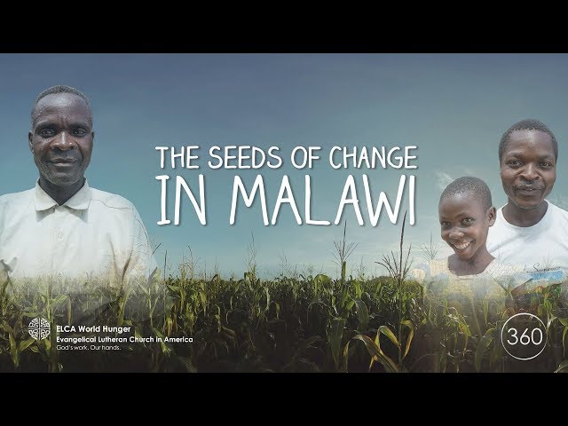 Seeds of Change in Malawi 360 VR - ELCA World Hunger