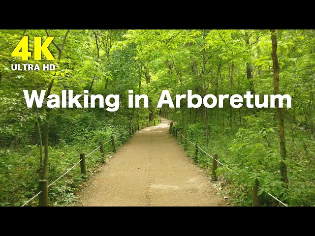 4K Walking Video | Korea National Arboretum Part 1 (with Relaxing music & Birds sound)