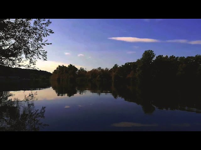 Bird Sounds - Morning Birds for Relaxation, Meditation, Yoga , Naturescapes, Forest Ambience