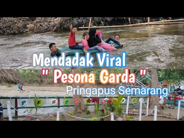 MENDADAK VIRAL " PESONA GARDA " PRINGAPUS SEMARANG