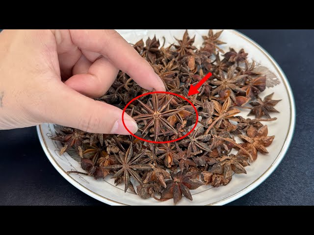 Throw Some Star Anise by Your Bed : Amazing Benefits Revealed ! 床边丢几粒“八角”：神奇作用揭晓，快来试试！