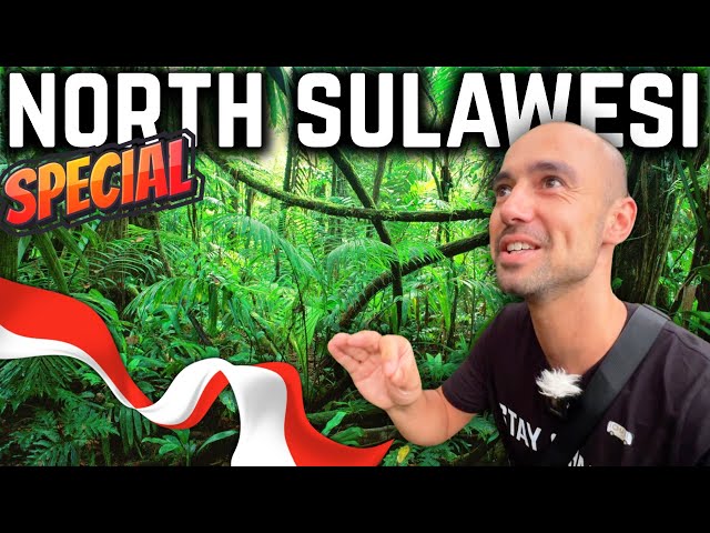 🇮🇩 NORTH SULAWESI SPECIAL 🤯 The Best Places in NORTH SULAWESI, Indonesia