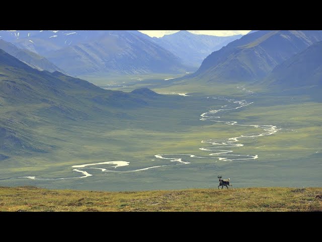 The LEAST Crowded National Park… by far