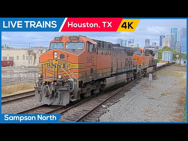 🔴 LIVE Trains Railcam | Houston, Texas (Sampson Street North)