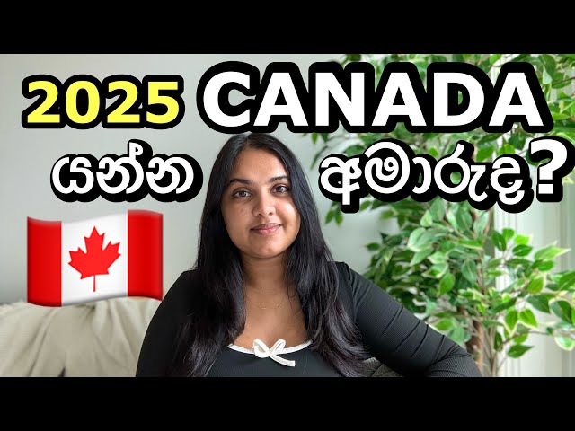 Canada අලුත්ම තත්වය 🇨🇦|  Canada Immigration Updates 2025 | Sinhala #canada #srilankan #canadavlogs