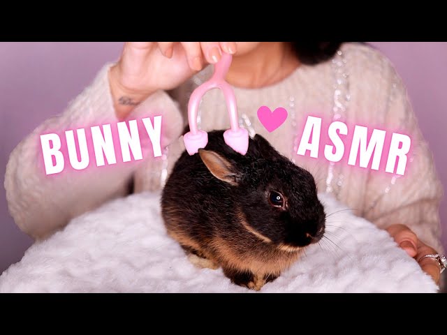 ASMR CUTE BUNNY SPA TREATMENT