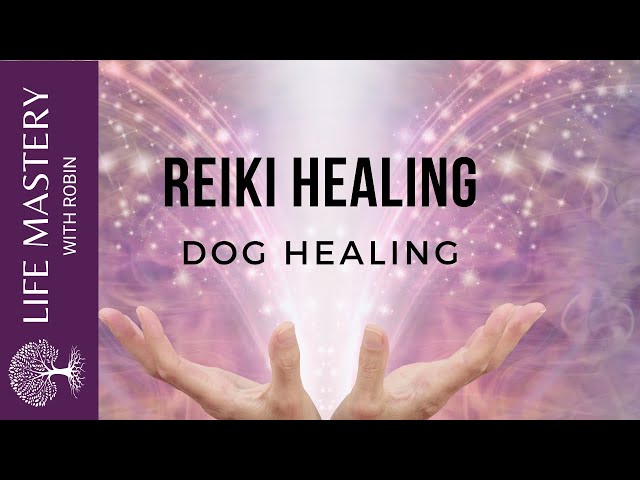 Reiki Healing | Healing Dogs with Sound Music