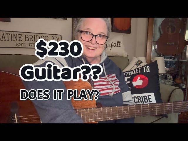 Let's Talk! ** Review Ibanez AW54 BUDGET GUITAR ** Fishman Soundhole Pickup ** PickBoy