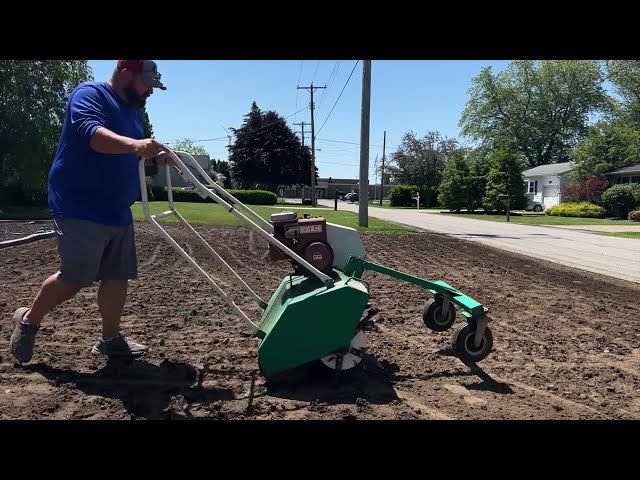 Lawn Renovation