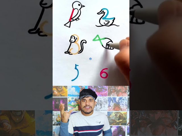 Turning Numbers Into Drawings!Turning Numbers Into Drawings!