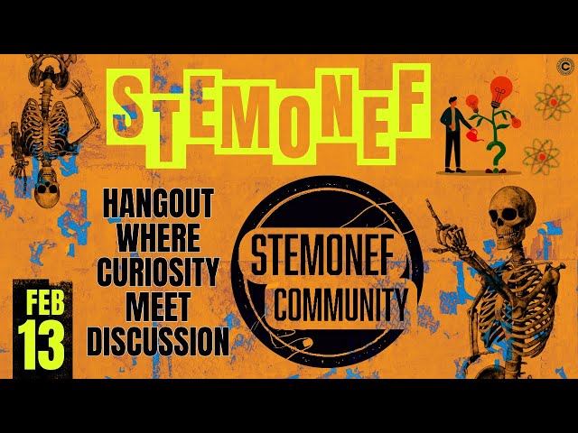 THE STEMONEF HANGOUT