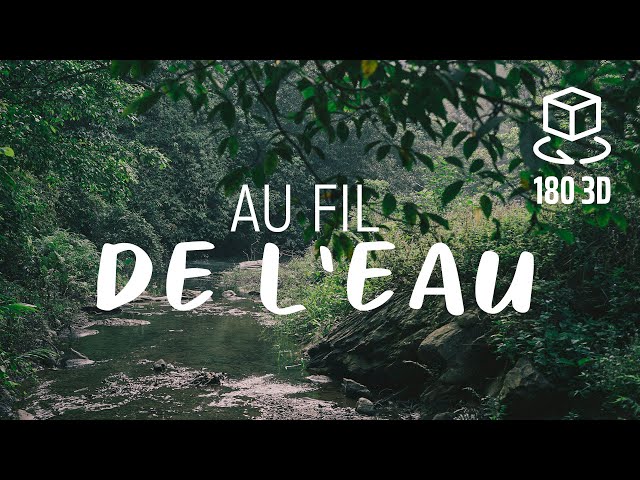 💧 Au Fil de l'eau. VR 8K 3D 180 video