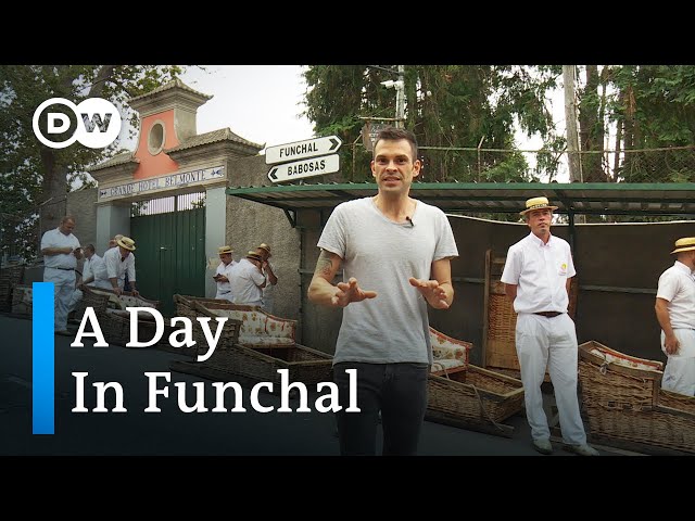 Funchal by a Local |  Travel Tips for Funchal on Madeira | A Day in Funchal, Portugal