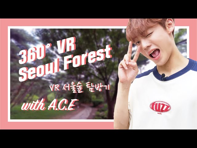 [360°VR] [#어골마돌/ENG SUB] 어쩌다 서울숲에서 마주친 A.C.E, 녹색지대(?)에서 감성충전 하기 / Idol in Alley with A.C.E - Ep.4