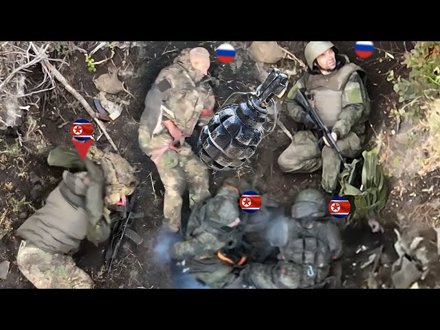 Ukrainian FPV drones wipes out elite North Korea soldiers in surprise attack in Russia