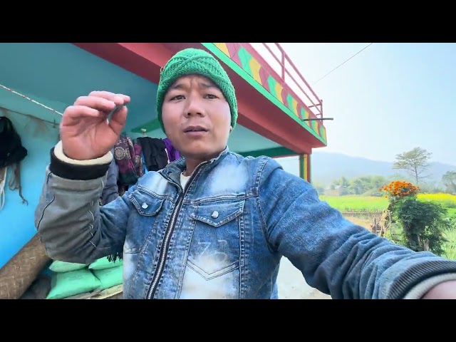 Daily lifestyle vlog || Nepali village lifestyle