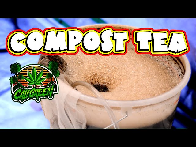 The Power of Compost Tea: how to make & use it! #grow guide