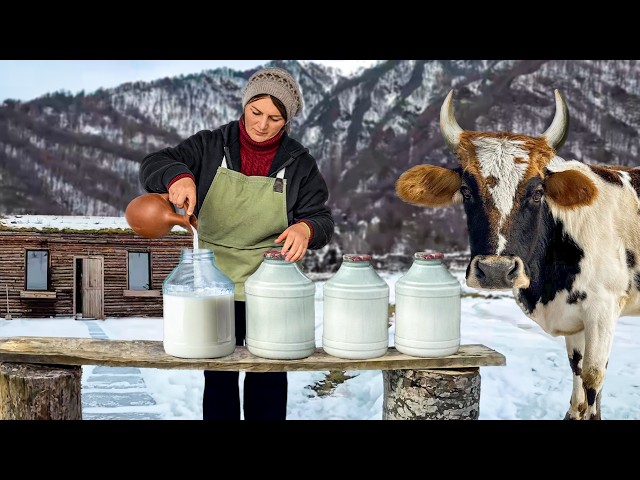 Making Homemade Cheese From Cow Milk! Quiet Life in Faraway Village🐄