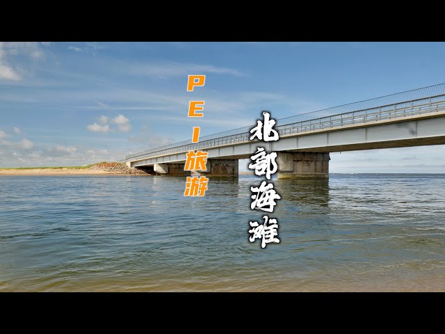 【加拿大留学移民分享-PEI北部海边】融入加拿大生活后，和同学一起外出拍摄，赶海收获很大