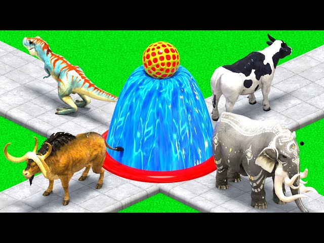 ANIMAL RACE Elephant,ox, Zebra, Tiger, Camel, T-rex, Horse, COW Planet Zoo Race Animal Running Race