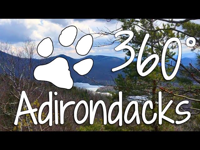 Adirondacks 360° view from Mount Baker Summit