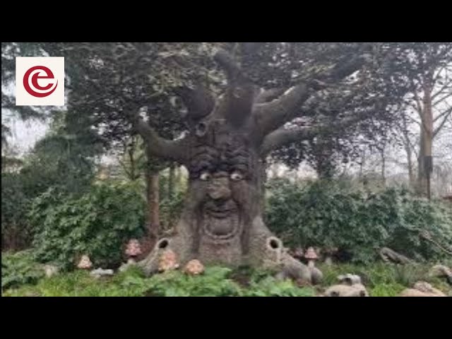 Sprookjesboom: Enchanting Fairy Tale Adventure at Efteling | Magical Tree Show