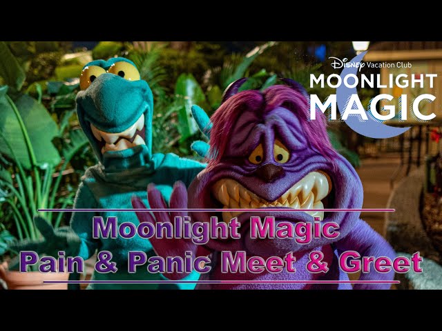 8K DVC Moonlight Magic Panic & Pain Meet and Greet VR180 3D