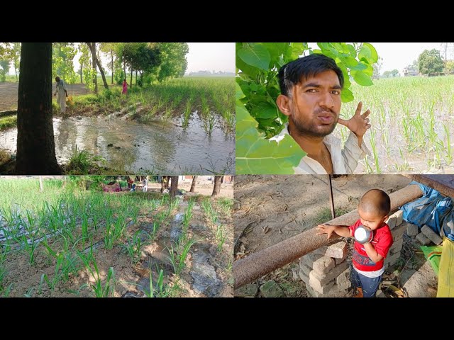 || Up village vlogs || Uttar Pradesh Village vlogs || #village