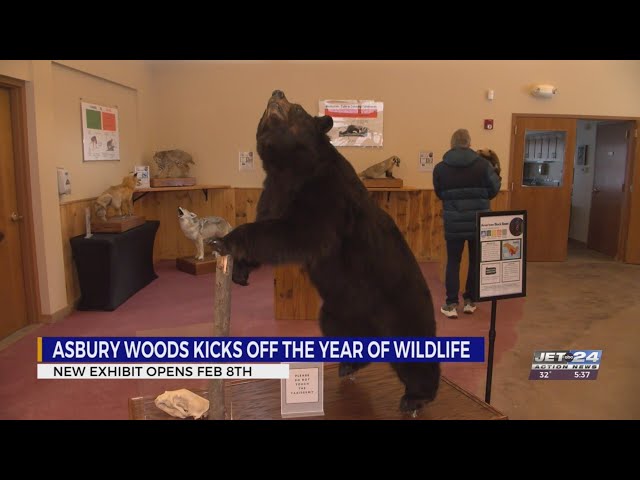 Asbury Woods releasing new exhibit on PA native species