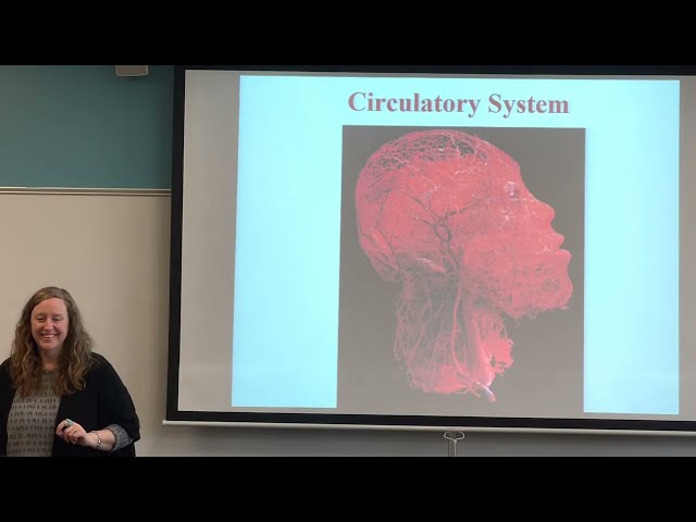 Circulatory System - The Heart