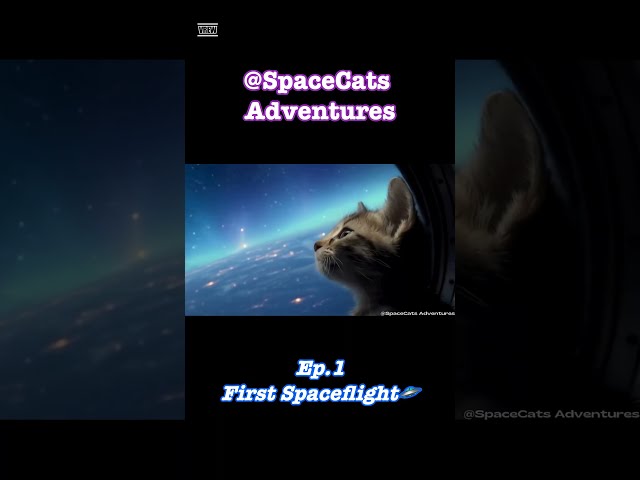 SpaceCats Adventures Ep.1