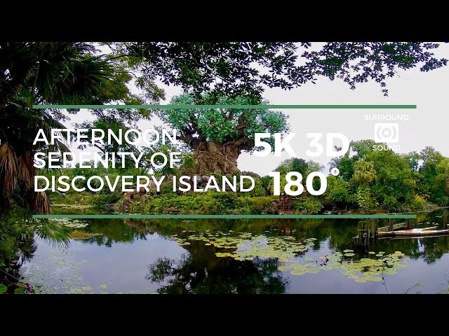 Afternoon Serenity of Discovery Island (5K 3D 180°)