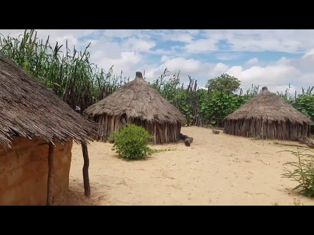 Surviving the Oshiwambo African Village Life in Namibia / #glamping the African Way #backtobasics