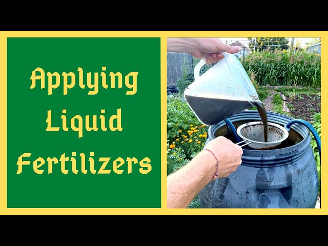 My Method For Applying Homemade Liquid Fertilizers -JADAM - JMS - JLF