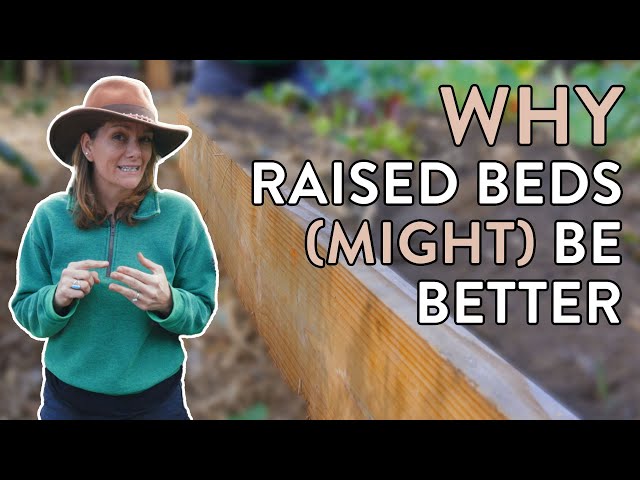 5 Reasons Why Raised Beds Are Better Than In-Ground Gardening