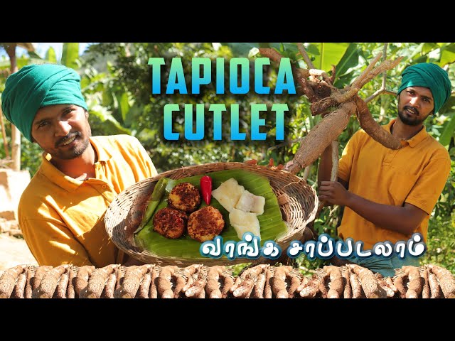 தோட்டத்து மரவள்ளிகிழங்கு அறுவடை | Farm Fresh Tapioca Harvest & Cooking | | Tamil Native Farmer